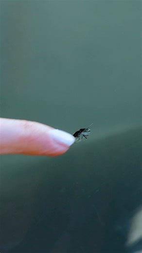 DIY Cracked Glass Fix | Handy Panda