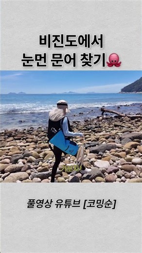 눈먼 문어 찾기 성공?!?!?!🤭 #비진도 #통영 #비진도여행