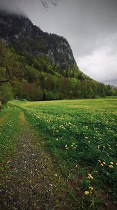 Nature's trail into serenity 🌿⛰️✨ #PeacefulPath #NatureLovers #beautyofnature #reelsvideoシ #reelsviralシ #fbreels #fbreelsvideo #reelsfypシ #reelsfacebook #fypシ #reelschallenge #fyp #nature #naturelovers #naturevibes | Beauty of Nature