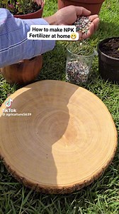 6.5K views · 44 reactions | This is how you can make NPK fertilizer at home  | FarmX | Facebook