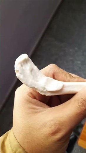 Strong in function, delicate in form 🦴