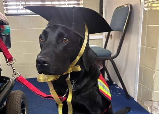 New Hope School Welcomes Atlas The Guide Dog