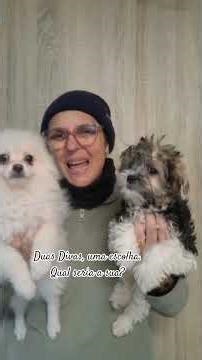 Two Divas, one choice. Which would be yours? #quintadosanimaisvaledhuyo