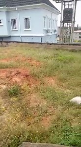 Quick one 100 by 200ft Behind NTA, sweet Property Just a little off the tarred Rd Price; N90M Title; CofO #For_your_best_property_deals; Contact us on; 08033707199 Call/ Whatsapp; #SirJaynPartners #realestateagent #propertyforsale #affordableluxury #luxuryhomes #nigeriansindiaspora #nigeriaproperties #businessowner #nigeriansabroad #nigeriansindiaspora #Asababusinesscommunity #asabawives #asabababes | Sir Jay & Partners -Asabaproperties | Facebook