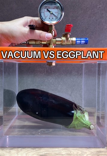 VACUUM VS EGGPLANT #experiment #vacuumasmr