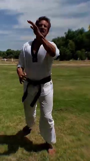 Tae Kwon Do Robot 🤖 | Emilien De Falco