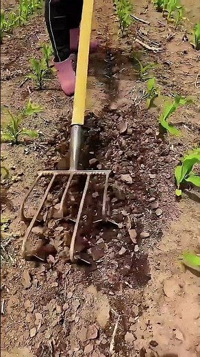 Creative Farming Tool for Easy Weed Removal #smartfarming #gardeningtips