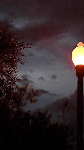 Calm Street Lamp Aesthetic Background Video