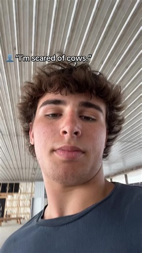 Gotta break em somehow 🤷‍♂️ #cattle #scared #4H #farmlife #dairyfarming #cow