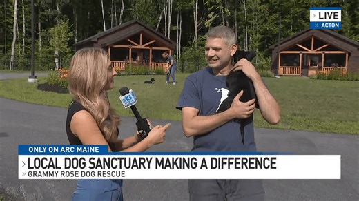 Grammy Rose Dog Rescue and Sanctuary: Where rescue dogs find homes and happiness