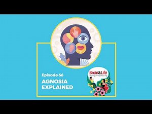 What is Agnosia and How Does it Affect the Brain’s Perception? (Brain & Life Podcast)