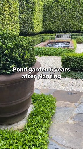 INSTANT GARDEN - we build numerous instant gardens which look like they’ve been growing for many years when in reality we’ve just installed them. This type of gardening requires an immense level of planning and coordination to get things just right. In this instance we craned in the 5.2m tall boundary hedges and clipped them into shape, the topiary & low hedging was all planted from established specimens & cut down to size….. let me know what you think? 🤔 #andrewstark #andrewstarkgardens #andre