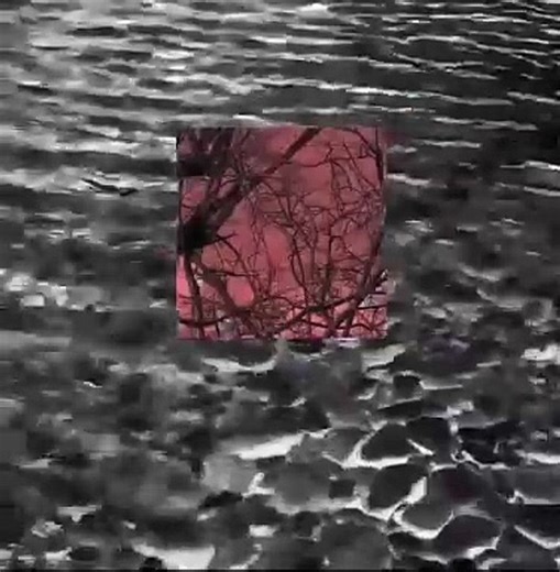 flow | movie | 2017 | Official Trailer