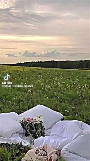 user62452027103 on TikTok