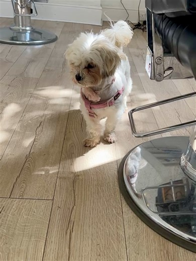 WhispersRed ASMR on Reels