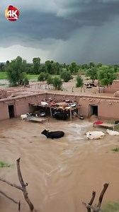 1.3M views · 8.9K reactions | ATTENTION À L’EAU DE PLUIE DANS NOS VILLAGES Pendant la saison des pluies, l’eau qui stagne ou qui ruisselle peut transporter des microbes, provoquer des maladies comme la diarrhée, le choléra ou le paludisme. Ne buvons jamais l’eau de pluie non traitée. Recouvrons les récipients d’eau pour éviter les moustiques. Évitons les eaux stagnantes près des maisons. | Mali Ondes & Médias | Facebook