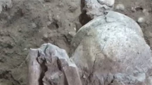 Scientists find world's oldest mummies