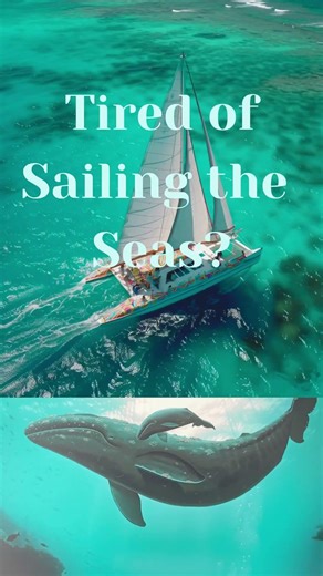 Don't Throw Money Away. Donate to Boat Angel.