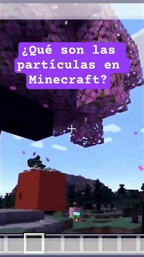 #Minecraft - What are the particles?