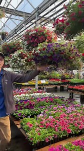 242 reactions · 16 shares | It’s the time to get planting! If you’re...