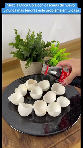 Mezcla Coca Cola con cáscaras de huevo y nunca más tendrás este problema en tu casa#video #fyp #foryoupage #shorts #trucos