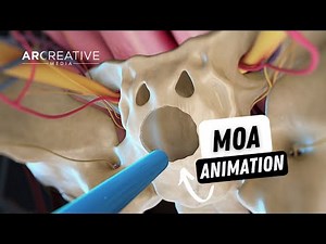 Mechanism of Action Showreel by Arcreative (3D medical animations)