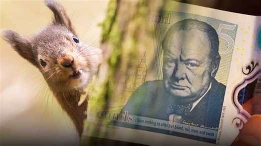 WSJ Opinion: Banknotes, Badgers, Idols and Icons: A Very British Identity Crisis. - MarketWatch