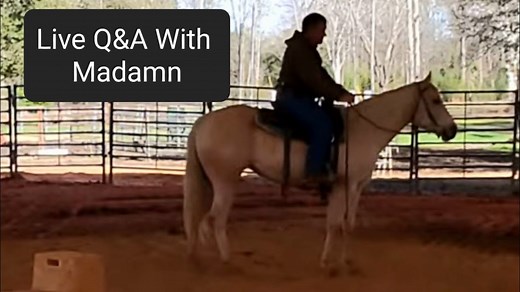 6.5K views · 293 reactions | This is a replay of the live training video from last week on youtube. I do a live training video every Thursday morning at 9:00 central time on my youtube channel. | Tim Anderson Horse Training | Facebook