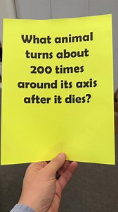 Turn, Turn, Turn #riddles #riddle #RIDDLEMETHIS #riddlesdaily #riddleoftheday #brainteaser #reelsfbviral | Reel Serious