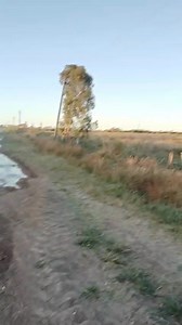 4.2K views | #RecibimosYPublicamos VECINO ADVIERTE SOBRE PÉRDIDA DE AGUA EN SANTA LUCÍA. "Hola, buen día. Quería plantear una inquietud con el tema del agua que tiran en el tanque de ose en ruta 11. También hay un camino donde pasan los vecinos que no se puede transitar", "Muchas gracias, esperamos esto se pueda solucionar y más en la época del año que estamos y con el déficit hídrico que tenemos". Whatsapp ideal 093554951 | 90.1 Fm Ideal | Facebook