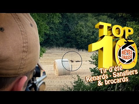 Top 10 Hunting Dreams No. 33 - July 2025 - Summer shooting for fox, wild boar and roe deer