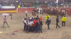 Spectacular action of 60 Chilean activists to protest against Rodeos, in the Santiago Arena this last Friday! (The Chilean Rodeo is different from American or Australian rodeos...) Credit: Radio Cooperativa. | Bulls Defenders United