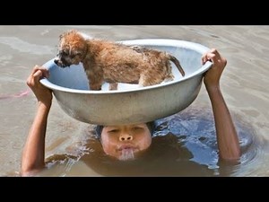 From Despair to Hope: Brave Rescuers Save Helpless Animals