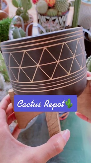 Δ Delta Dawn Δ on TikTok