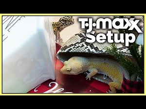 I built a leopard gecko enclosure with TJ Maxx products