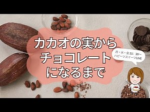 カカオの実からチョコレートになるまでの物語 #カカオ農園 #チョコレート #ビーントゥーバー #フランス菓子教室