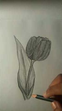 “Easy Flower Drawing Tutorial | ফুল আঁকা শিখুন খুব সহজে Step-by-Step”