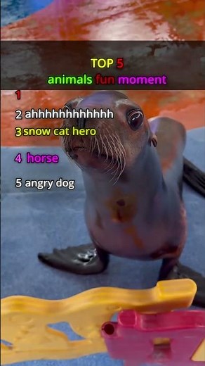 TOP 5 FUNNIEST ANIMAL MOMENTS 😂 YOU WON’T BELIEVE! 🐶🐱 #3