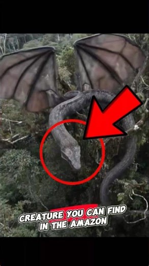 Top 5 Amazon Creatures That Can End You Instantly! 🤯🙀 #amazon #animals