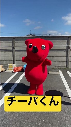 千葉県のマスコットキャラクターチーバくん着ぐるみ costume Mascot character #shorts