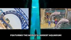 5.4K views · 49 reactions | Take a look at the amazing new SeaWorld Abu Dhabi! All indoors featuring the World’s Largest Aquarium, incredible animal encounters and world class roller coasters! Who else would love to visit here? | Theme Park Review | Facebook