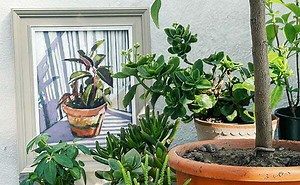 Capturing Spring Sunshine by Painting Colourful Shadows