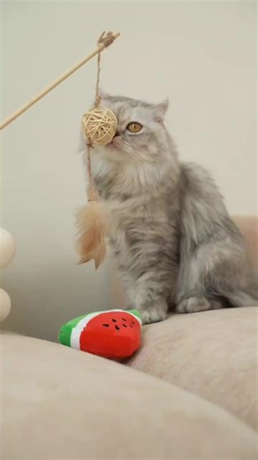 Allergy no more with furry cat at home with the CUCKOO C Model Air Purifier Humidifier. Its HEPA H14 Filter eliminates up to 99.95% of airborne dust, while the Plasma Ioniser turns harmful substances into clean air. The CUCKOO C Model ensures the freshest air at home for you and your furry friends! Get yours now with our Rental Plan for only RM110* monthly. *Terms and conditions apply. #CUCKOOCPlusModel #SAMASAMAHealthier #cuckoolabuan