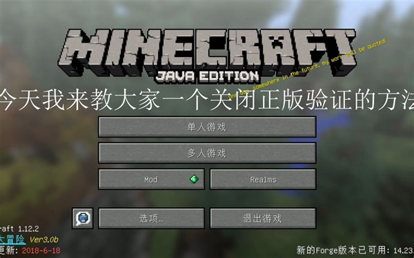 mc正版验证关闭方法_2