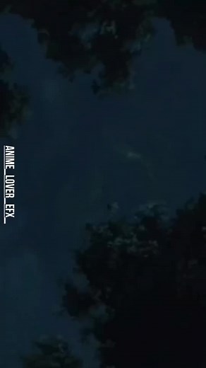 Exciting Naruto Shipuden Animation Featuring Young Ninjas