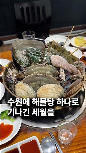 수원 노포맛집 해물탕이 무려 19만원?