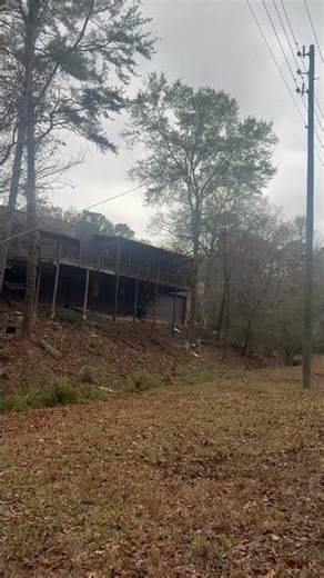 Large Tree Falls During Removal | Central Alabama Tree Service