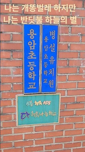 나는 개똥벌레 하지만 나는 반딧불 하늘의 별