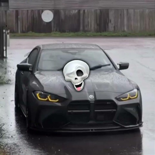 karl rapp art(bmw)