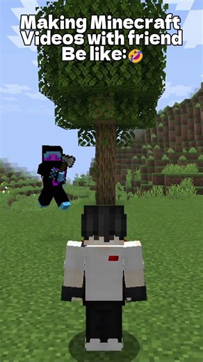 Making Minecraft Videos With Friends Be Like:🤣🤣|| @Delty_bhaioriginal @JUSTAGAMER_61 @Mobpie-op ||